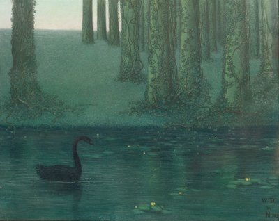 The Black Swan by William Degouve de Nuncques